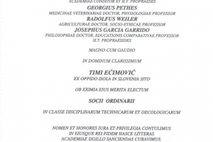 timi_ecimovic_1_20130311_1391977588